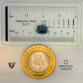 ITLGR_99103_SCALE.webp