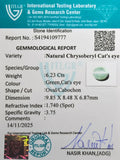 ITLGR_109777_CERTIFICATE.webp