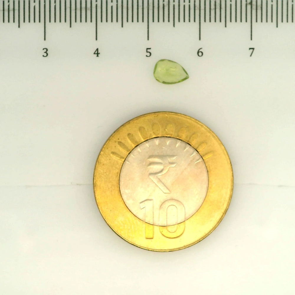 ITLGR_109388_SCALE.webp
