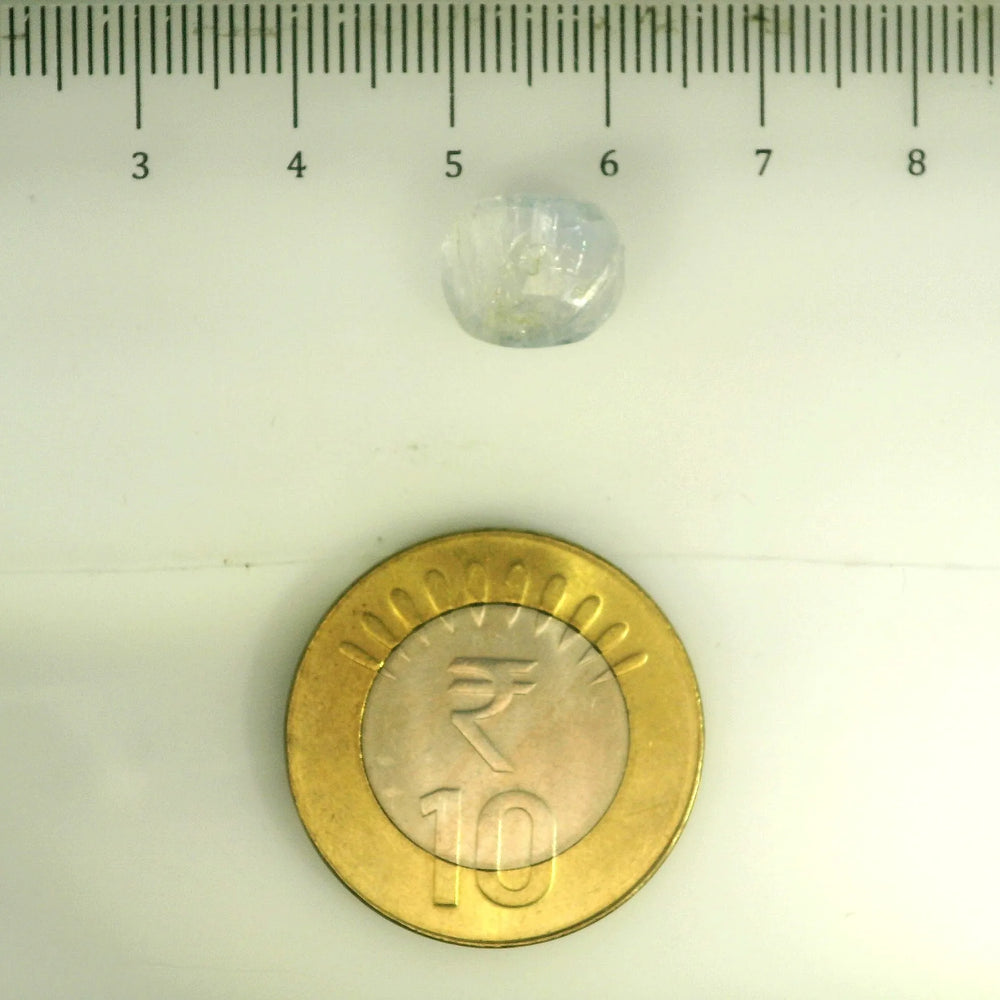 IGITL_201528_SCALE.webp