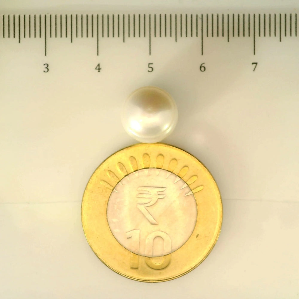 ITLGR_106949_SCALE.webp
