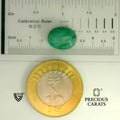 ITLGR_105223_SCALE.webp