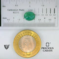 ITLGR_102199_SCALE.webp