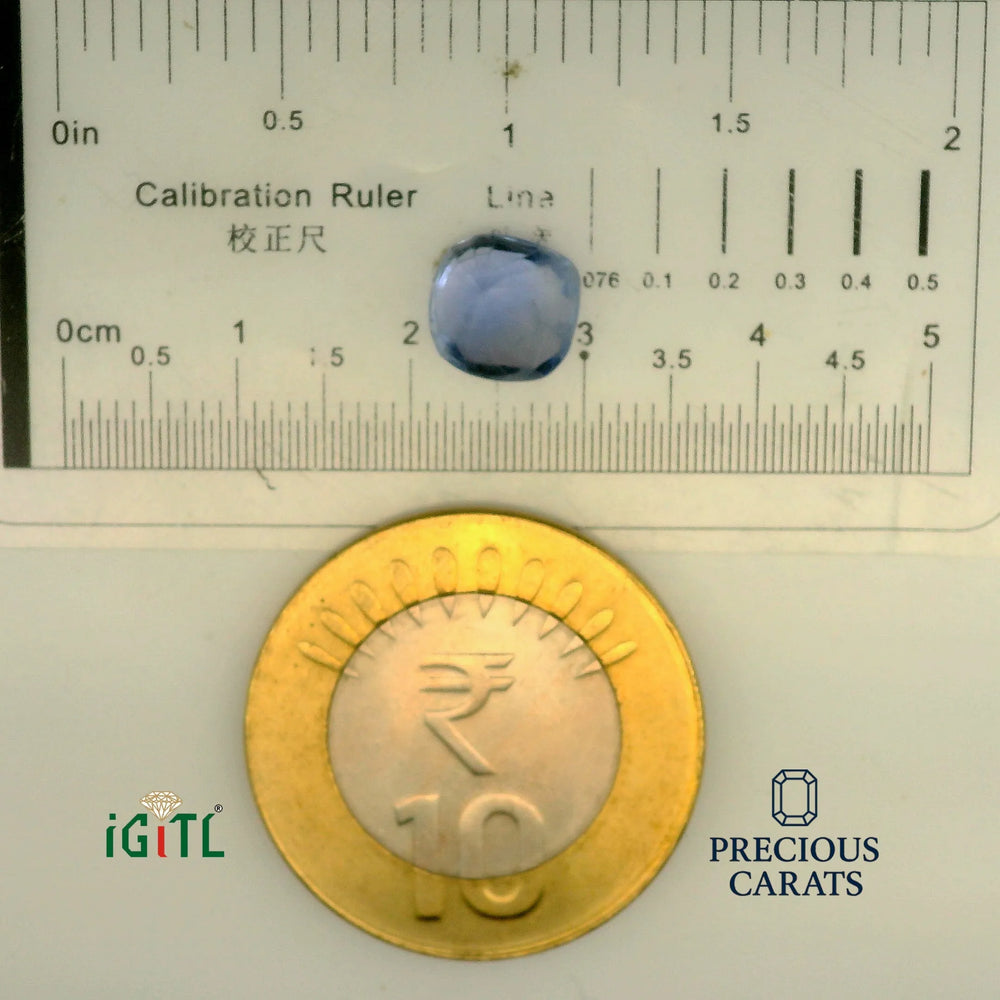 IGITL_197764_SCALE.webp