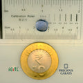 IGITL_197764_SCALE.webp