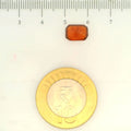 ITLGR_104289_SCALE.webp