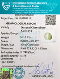 ITLGR_109819_CERTIFICATE.webp