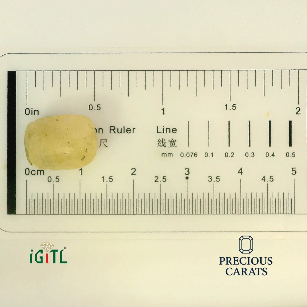 IGITL_194707_SCALE.webp