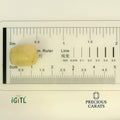 IGITL_194707_SCALE.webp