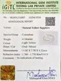 IGITL_212007_CERTIFICATE.webp