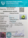 ITLGR_109385_CERTIFICATE.webp