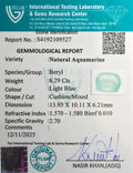 ITLGR_109527_CERTIFICATE.webp