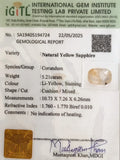 IGITL_194724_CERTIFICATE.webp
