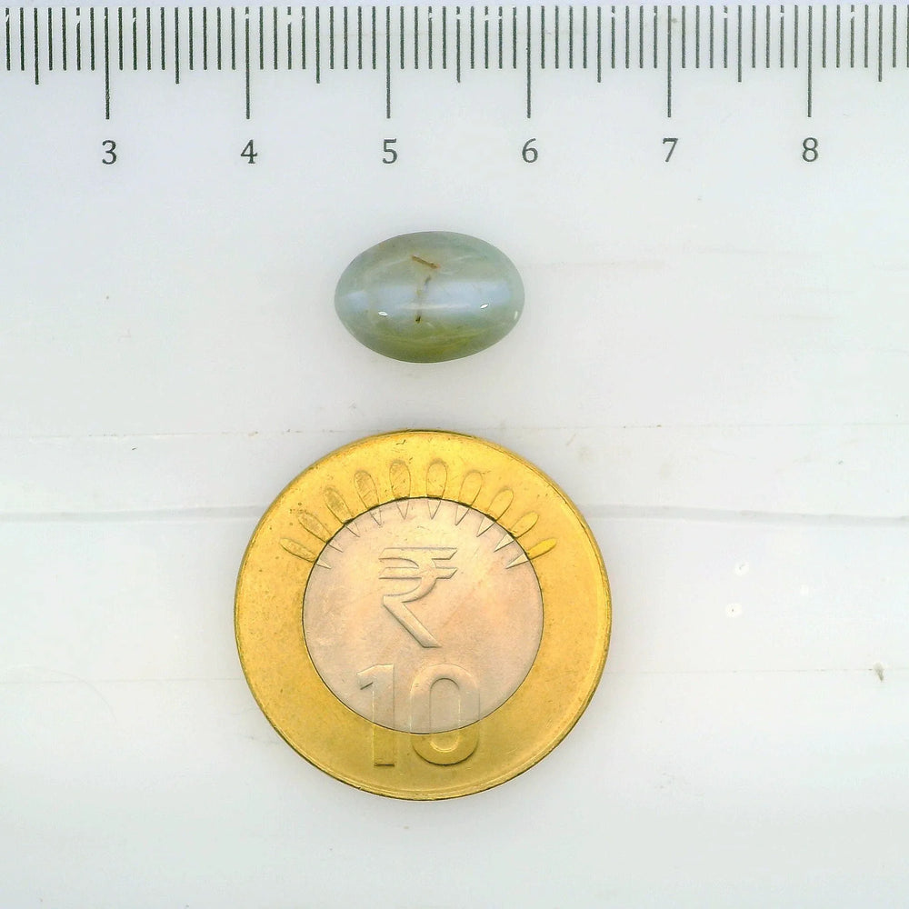 ITLGR_109784_SCALE.webp