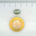 ITLGR_109784_SCALE.webp