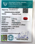 ITLGR_107119_CERTIFICATE.webp