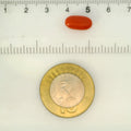 ITLGR_121353_SCALE.webp