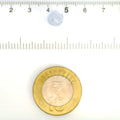 IGITL_211706_SCALE.webp
