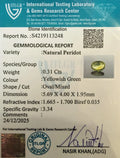ITLGR_113248_CERTIFICATE.webp