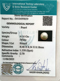 ITLGR_99859_CERTIFICATE.webp