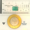 ITLGR_100259_SCALE.webp