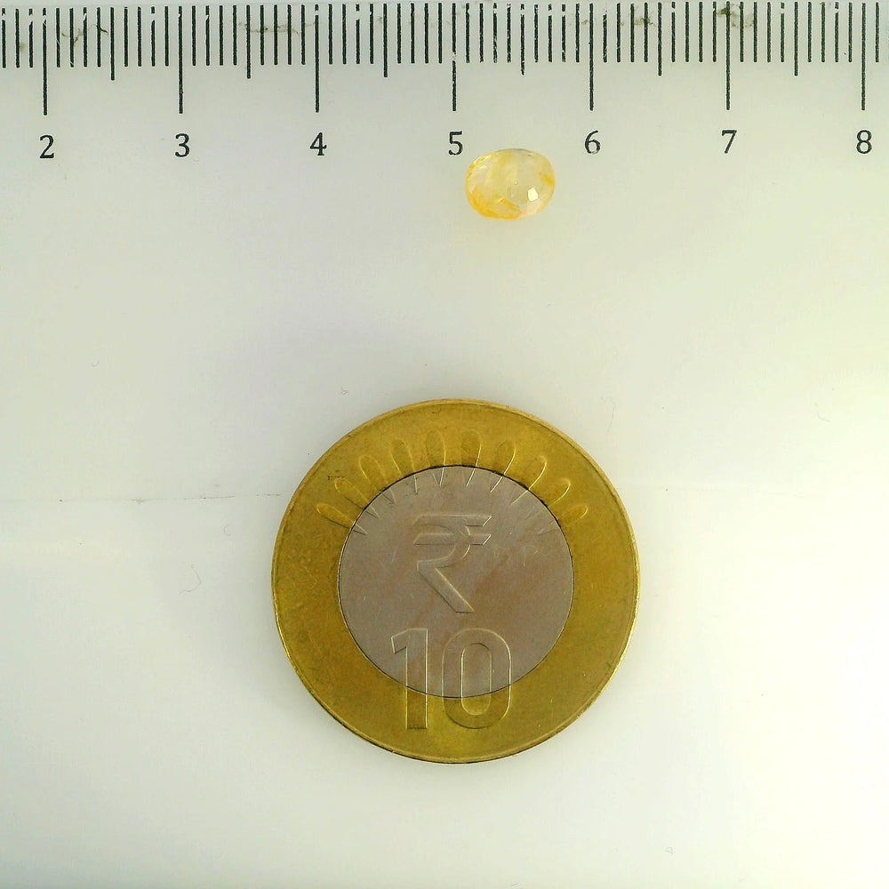 ITLGR_104910_SCALE.webp