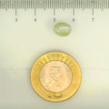 ITLGR_109800_SCALE.webp