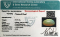 ITLGR_100534_CERTIFICATE.webp