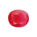 ITLGR_2425_FRONT.png