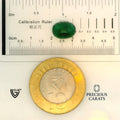 ITLGR_100267_SCALE.webp