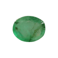 AGR_88373_FRONT.png