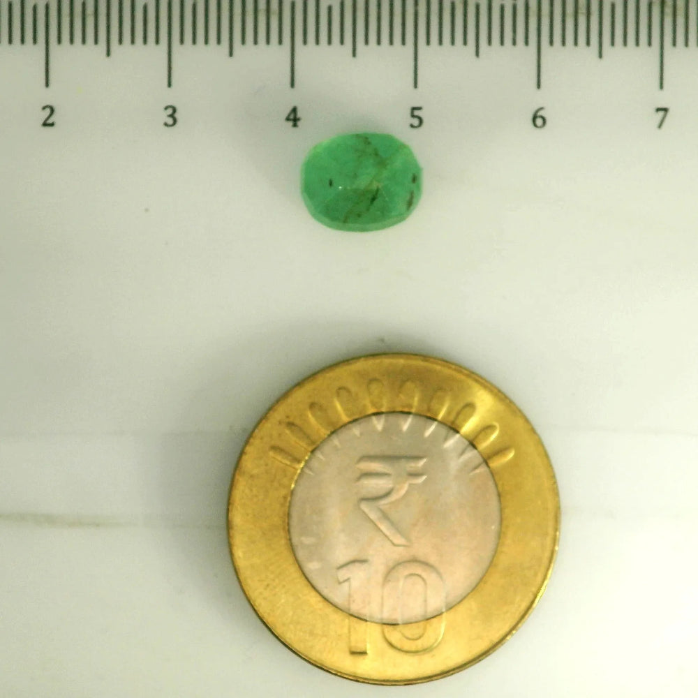 AGR_88385_SCALE.webp