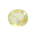 IGITL_200280_FRONT.png