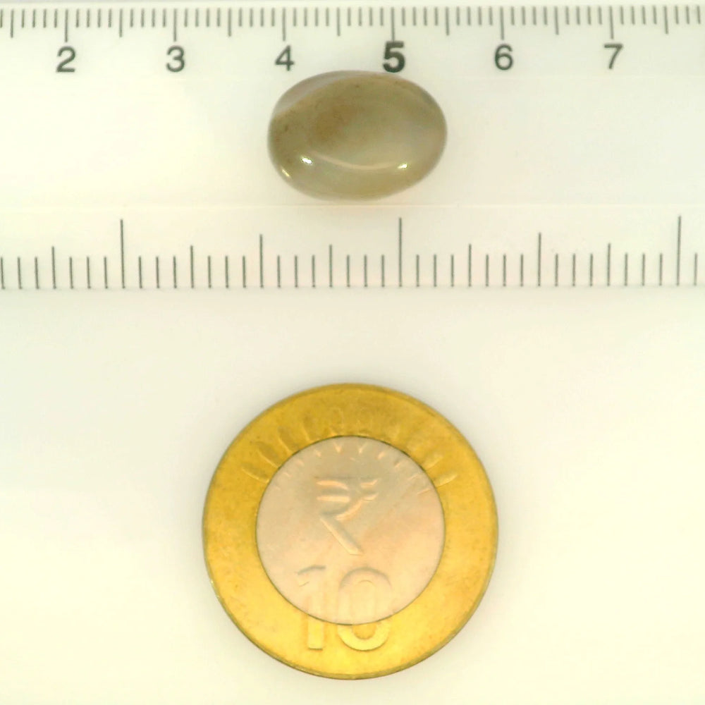 ITLGR_121442_SCALE.webp