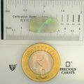 ITLGR_102010_SCALE.webp
