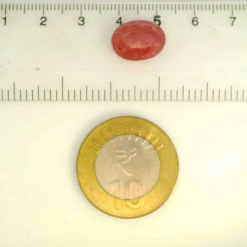 ITLGR_109886_SCALE.webp