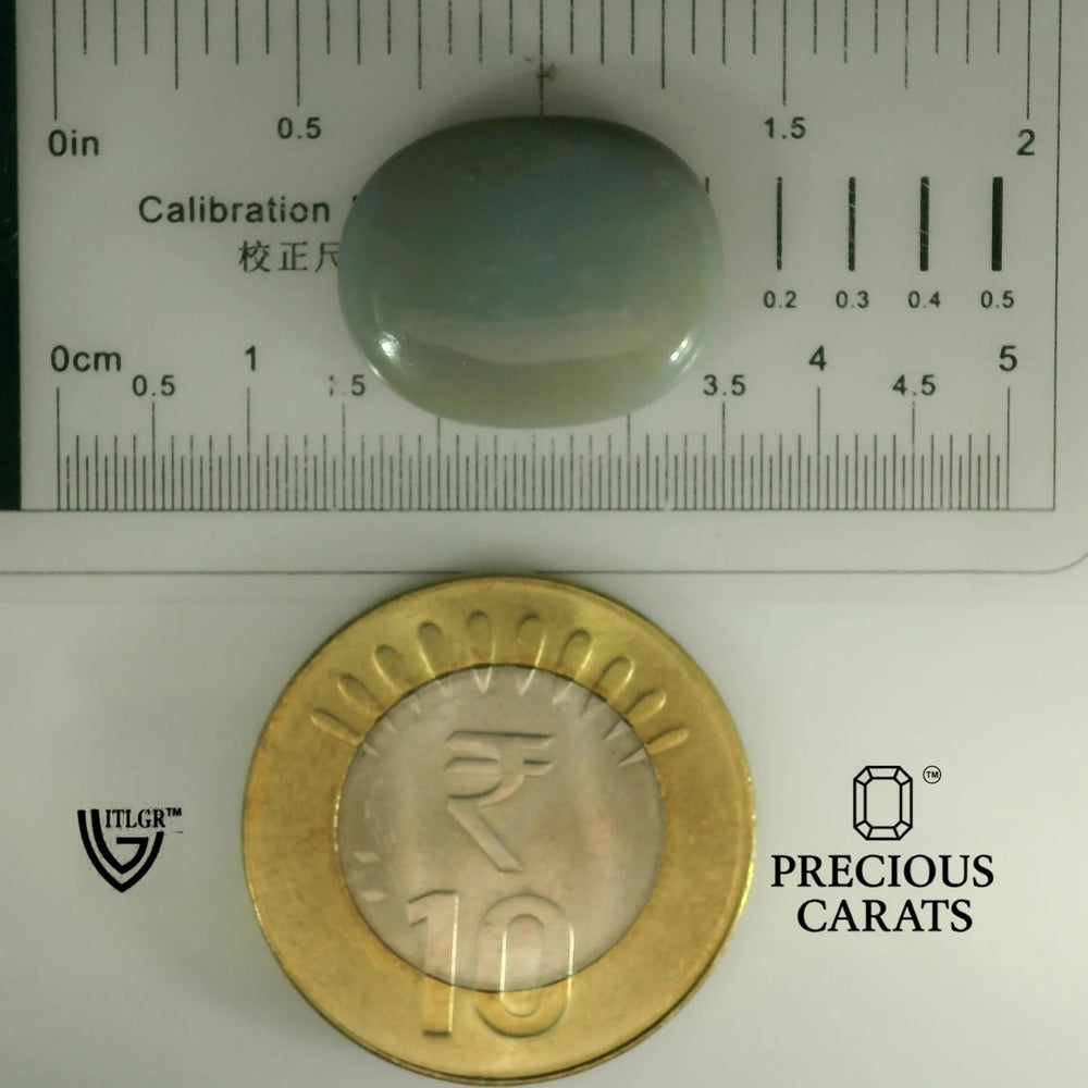 ITLGR_101946_SCALE.webp