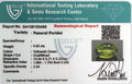 ITLGR_100488_CERTIFICATE.webp