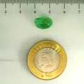 ITLGR_106834_SCALE.webp