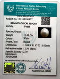 ITLGR_106927_CERTIFICATE.webp