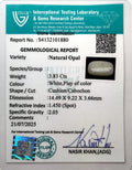 ITLGR_101880_CERTIFICATE.webp