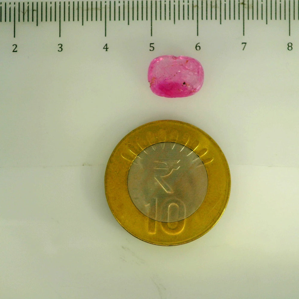GFCO_39059_32_SCALE.webp