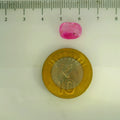 GFCO_39059_32_SCALE.webp