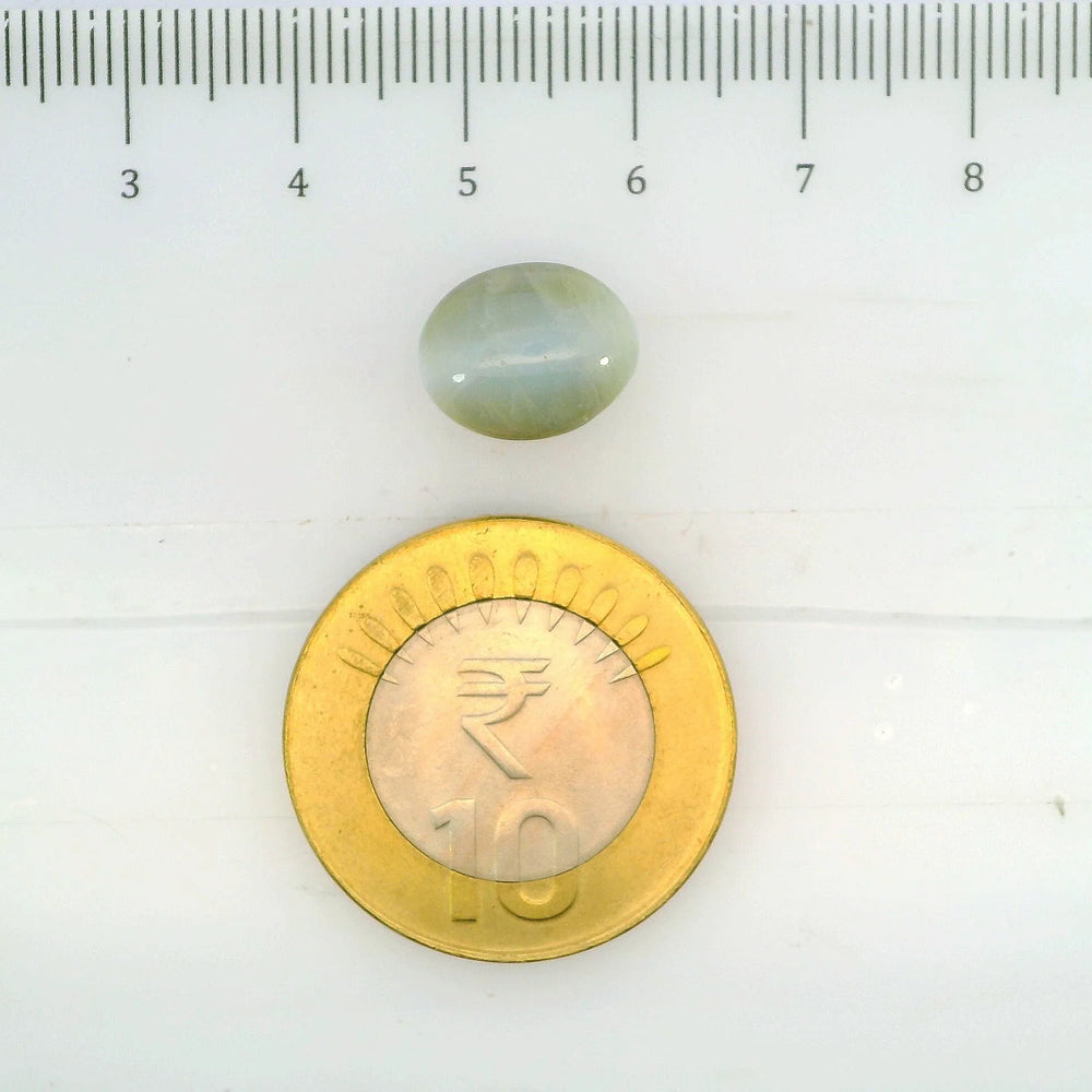 ITLGR_109782_SCALE.webp