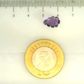 ITLGR_109447_SCALE.webp