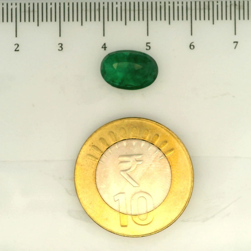 IGITL_203375_SCALE.webp