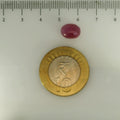 ITLGR_112878_SCALE.webp
