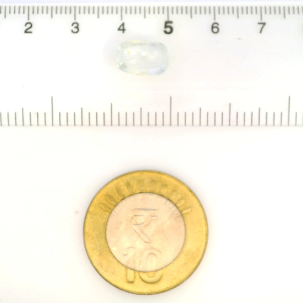 IGITL_211731_SCALE.webp
