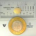 ITLGR_100531_SCALE.webp