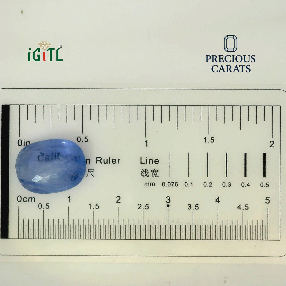 IGITL_194719_SCALE.webp
